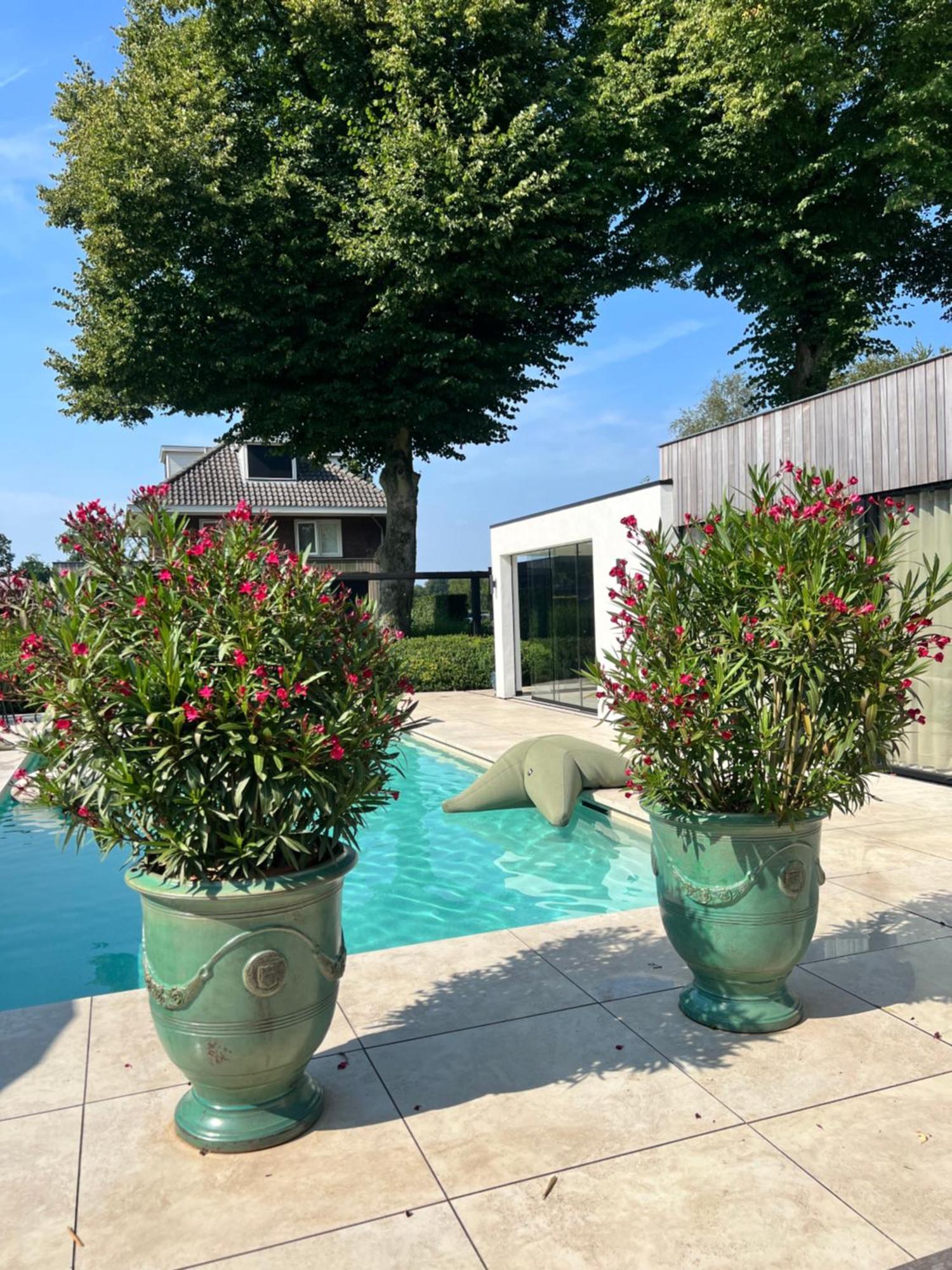 Kootwijkerbroek De Lichtboei Bed & Breakfast エクステリア 写真