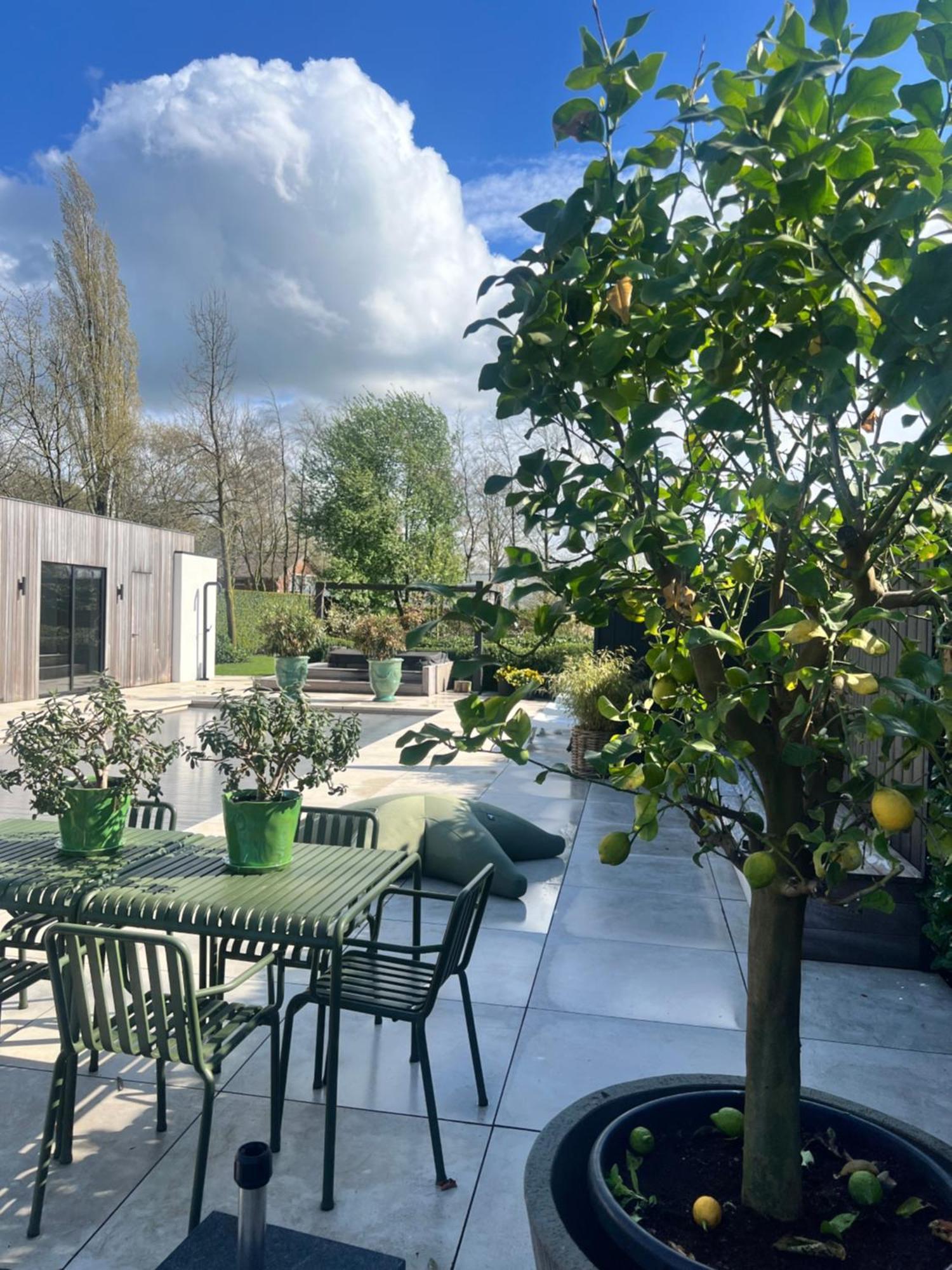 Kootwijkerbroek De Lichtboei Bed & Breakfast エクステリア 写真
