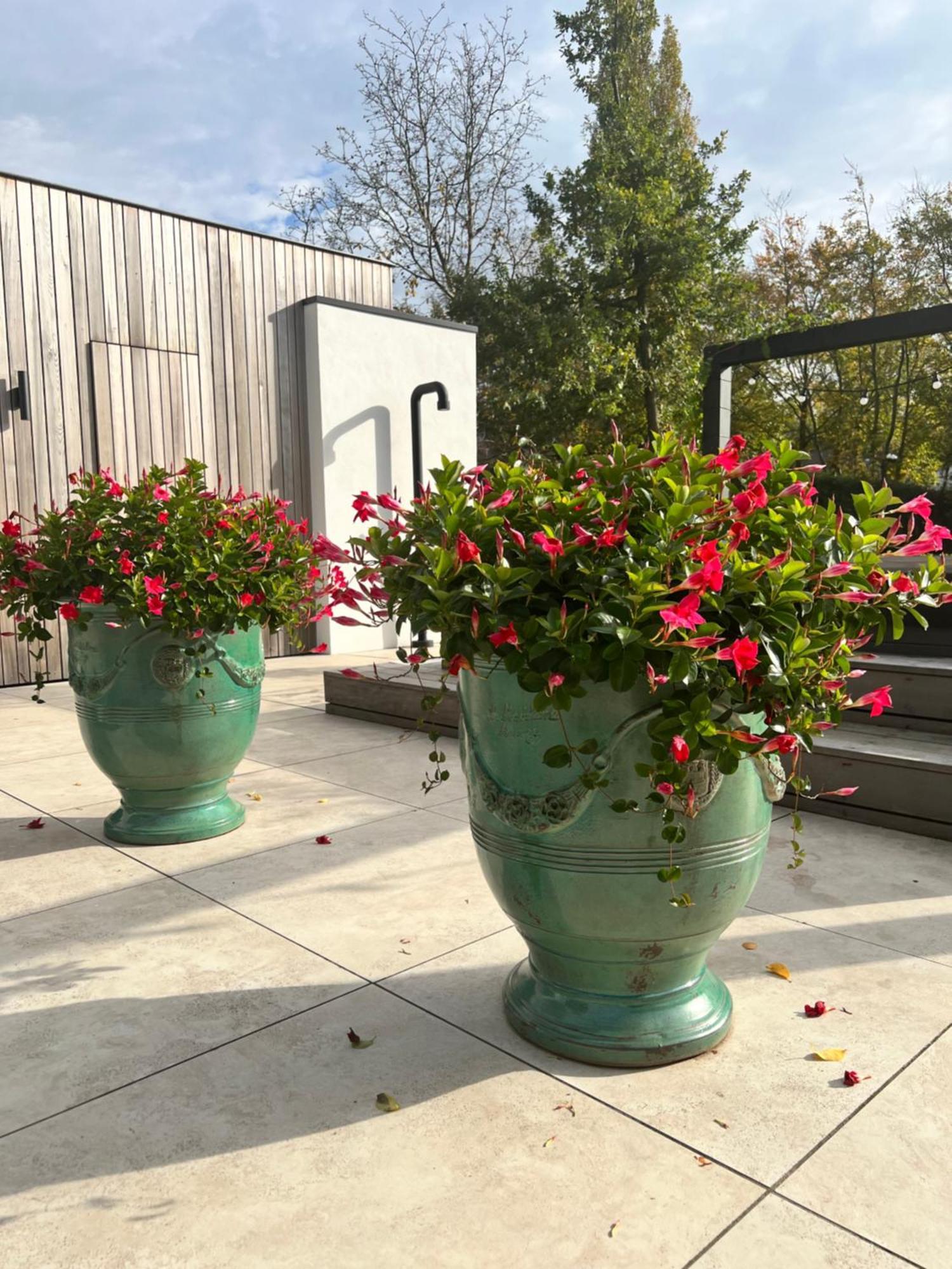 Kootwijkerbroek De Lichtboei Bed & Breakfast エクステリア 写真